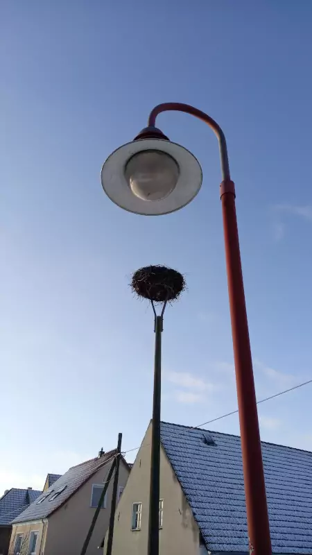 ../_images/2022-storchennest.webp